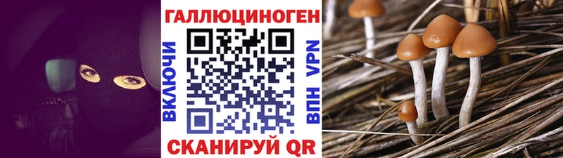 Галлюциногенные грибы Magic Shrooms  Новотитаровская 